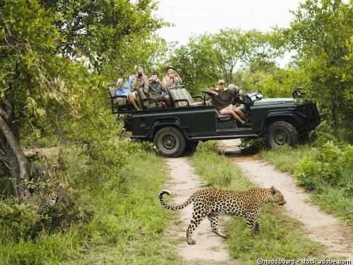 Circuit Splendeurs sud-africaines pas cher photo 9