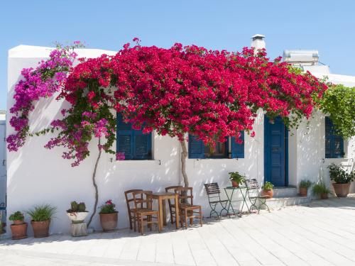 Circuit Combiné 3 îles : Mykonos - Paros - Santorin en 15 jours 2* pas cher photo 4