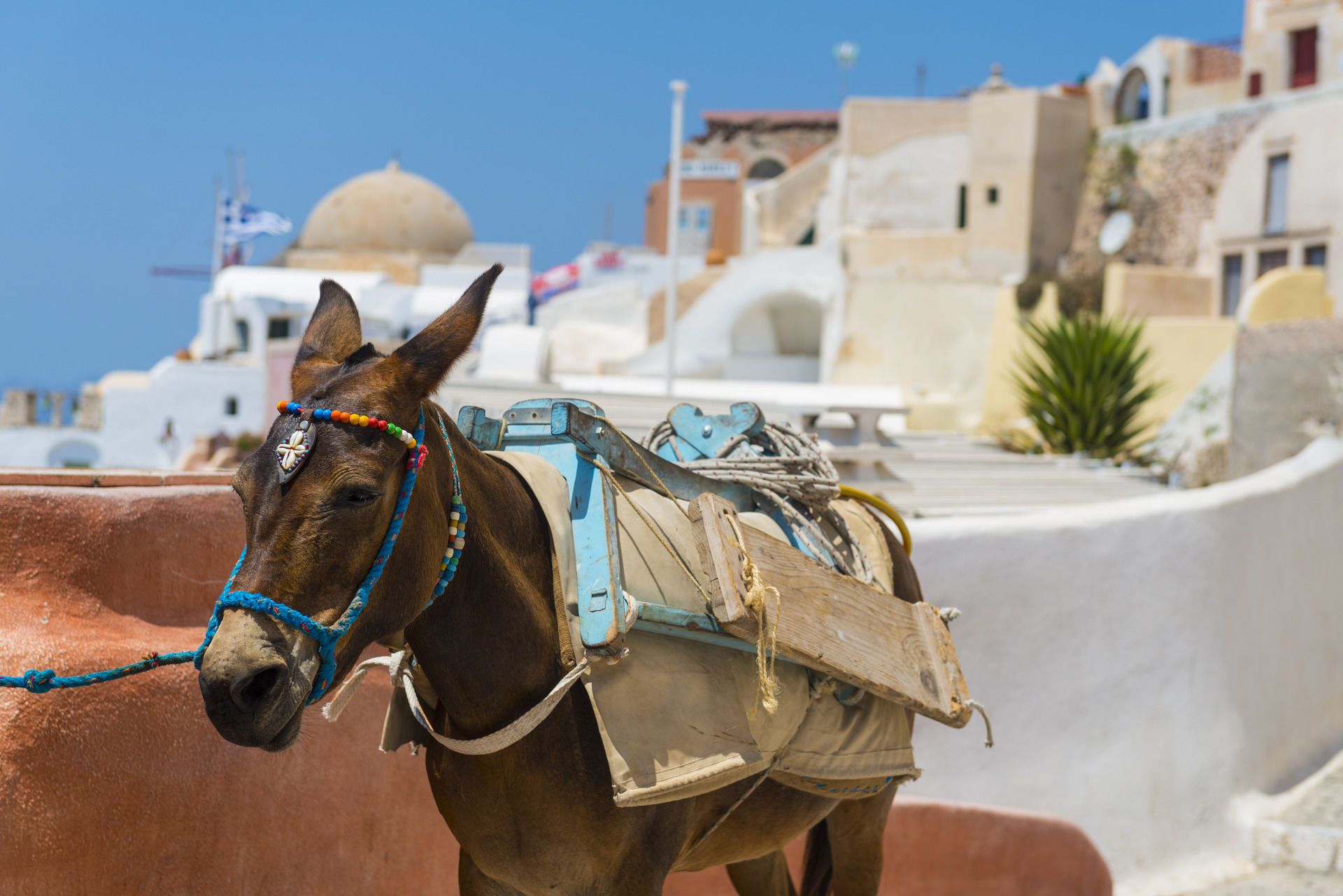 Combiné Cyclades 4 îles : Santorin, Naxos, Syros & Mykonos en 3* ou 4* pas cher photo 3