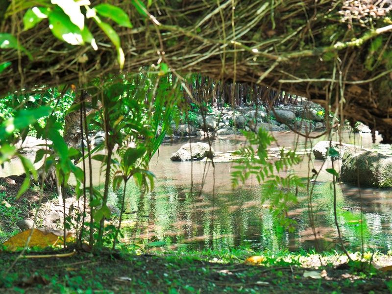 L'OUEST ET LA POLYNESIE EXTENSION BORA BORA - 22J/19N pas cher photo 14