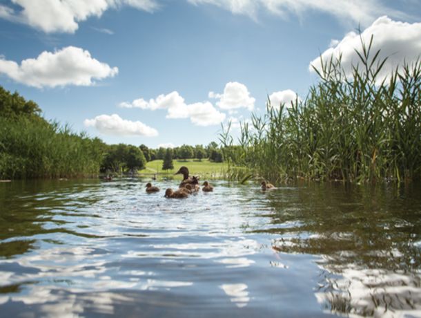 Circuit Fascinant Canada pas cher photo 15