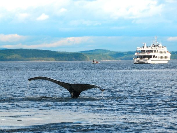 Circuit Fantastique Canada pas cher photo 41