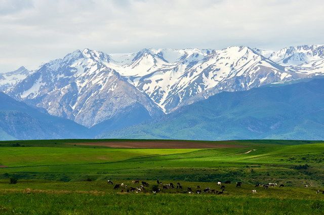 Circuit La Grande Traversée de l'Asie Centrale : Ouzbékistan, Kazakhstan, Kirghizistan pas cher photo 20