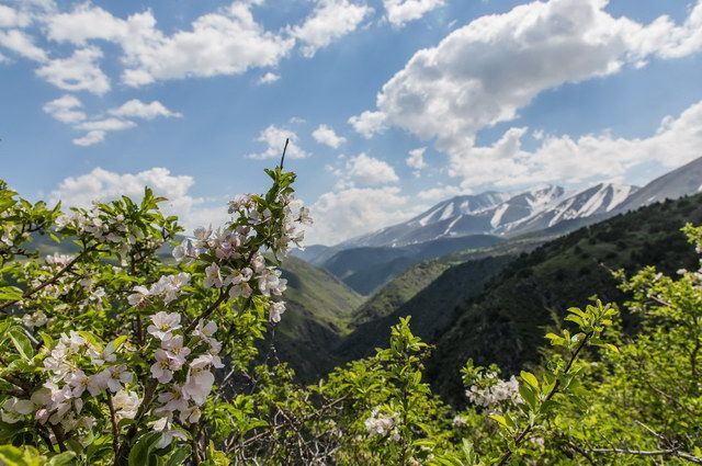 Circuit La Grande Traversée de l'Asie Centrale : Ouzbékistan, Kazakhstan, Kirghizistan pas cher photo 21