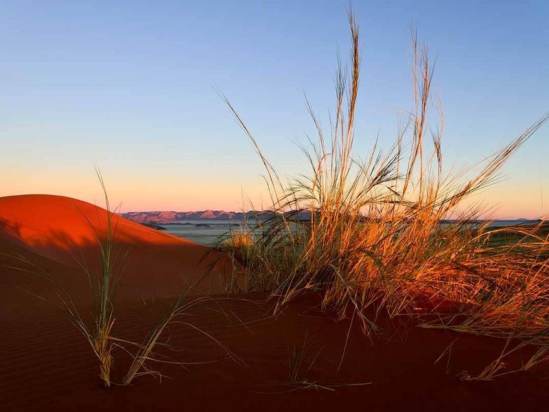 Circuit Envolée en terres australes : du Cap au désert du Namib pas cher photo 1