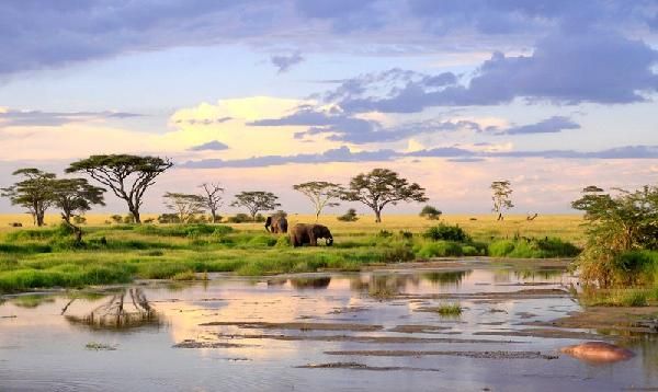 Safari Féeries d'Afrique - inclus Amboseli, Lac Nakuru et Masaï Mara pas cher photo 1