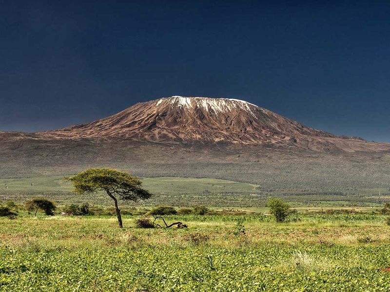 Circuit Safari Kilimandjaro 4* pas cher photo 11