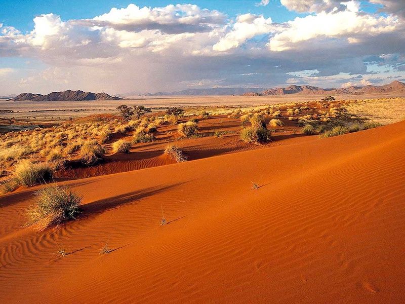 Circuit Pays himba, dunes et réserves de Namibie pas cher photo 5