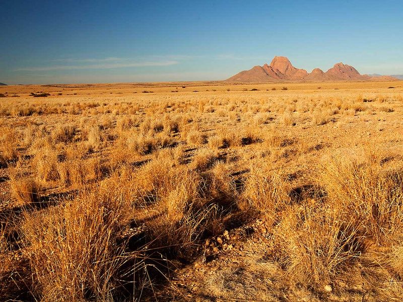 Circuit Pays himba, dunes et réserves de Namibie pas cher photo 11