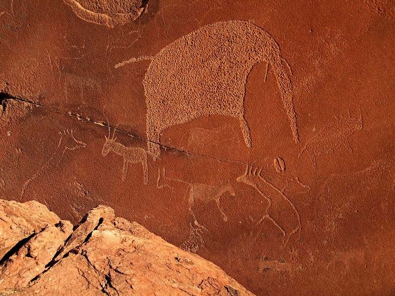 Circuit Pays himba, dunes et réserves de Namibie pas cher photo 12