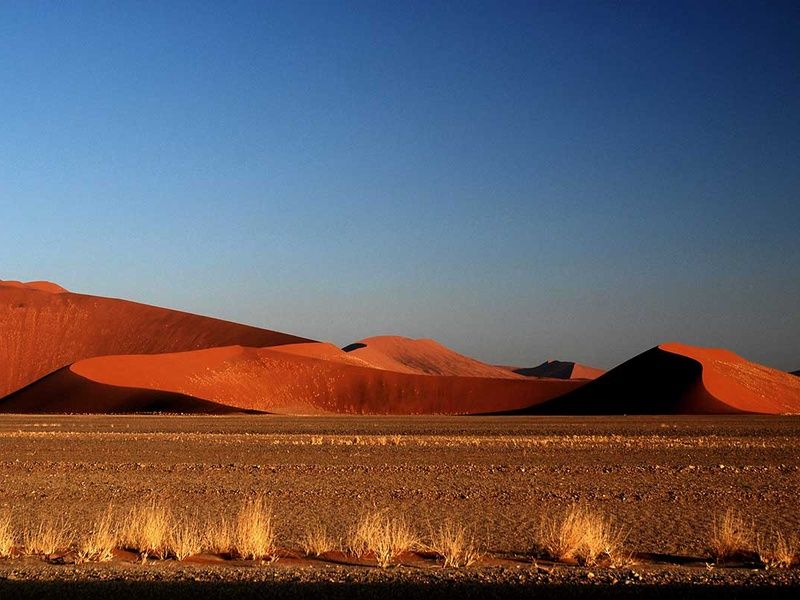 Circuit Visage de Namibie pas cher photo 7