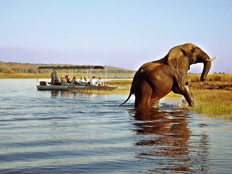 Circuit Trésors d'Afrique australe pas cher photo 22