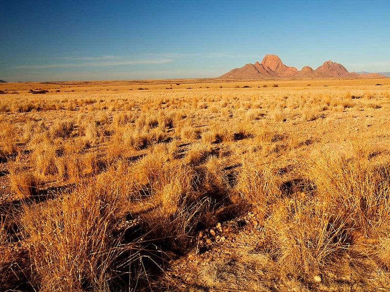 Circuit L'Afrique grandeur nature : déserts, canyons et grands espaces pas cher photo 7