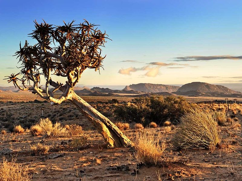 Circuit L'Afrique grandeur nature : déserts, canyons et grands espaces pas cher photo 16