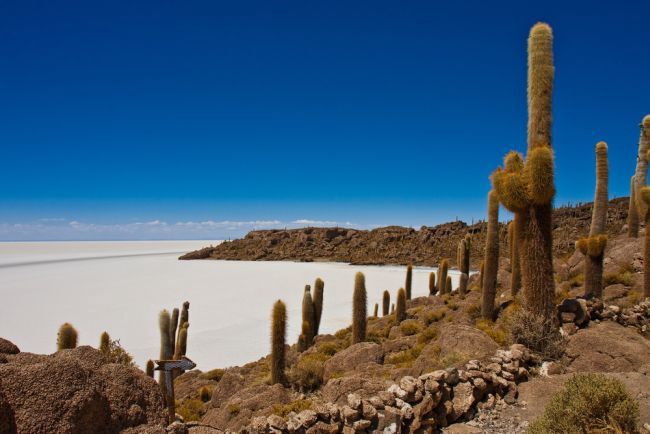 Circuit Bolivie, entre lagunes et salar pas cher photo 2