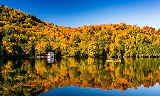 Iindispensable Canada pas cher photo 2