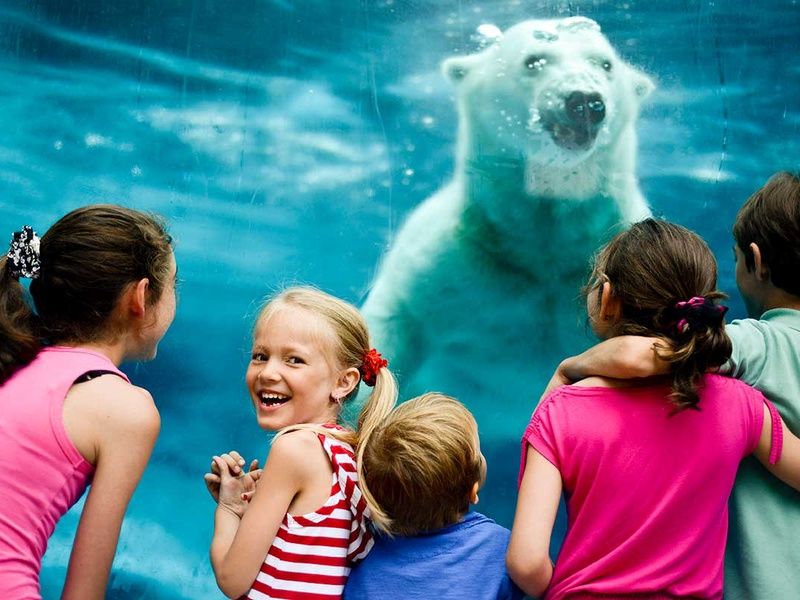 Circuit Canadavision 10 jours pas cher photo 9