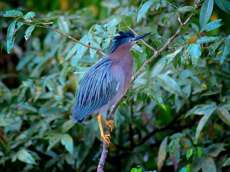 Circuit Volcans et peuples oubliés pas cher photo 7
