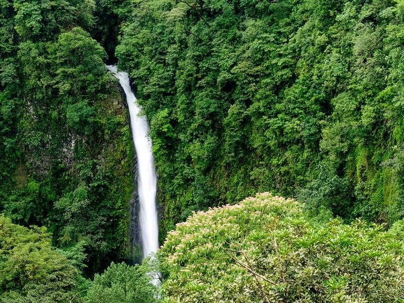 Circuit Découverte et aventure au Costa Rica pas cher photo 13