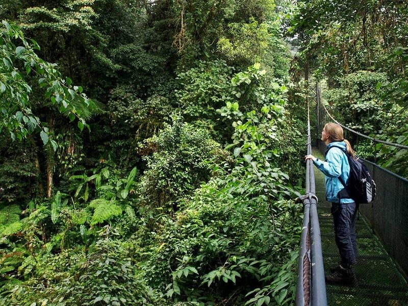 Circuit Découverte et aventure au Costa Rica pas cher photo 14