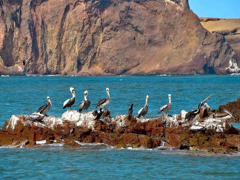 Circuit Pérou andin (Informations passeport obligatoire dès la réservation) pas cher photo 6