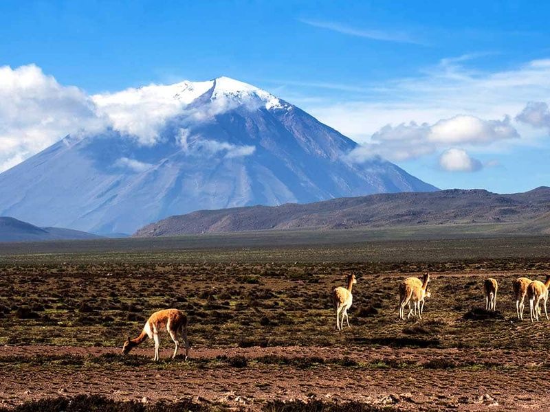 Circuit Pérou andin (Informations passeport obligatoire dès la réservation) pas cher