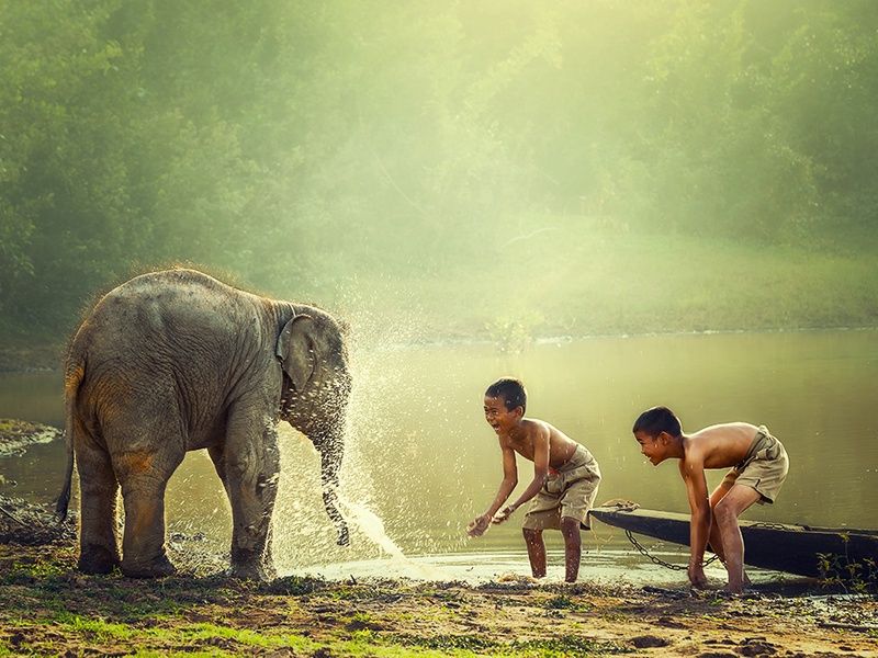 Circuit Essentiels du Cambodge pas cher photo 2