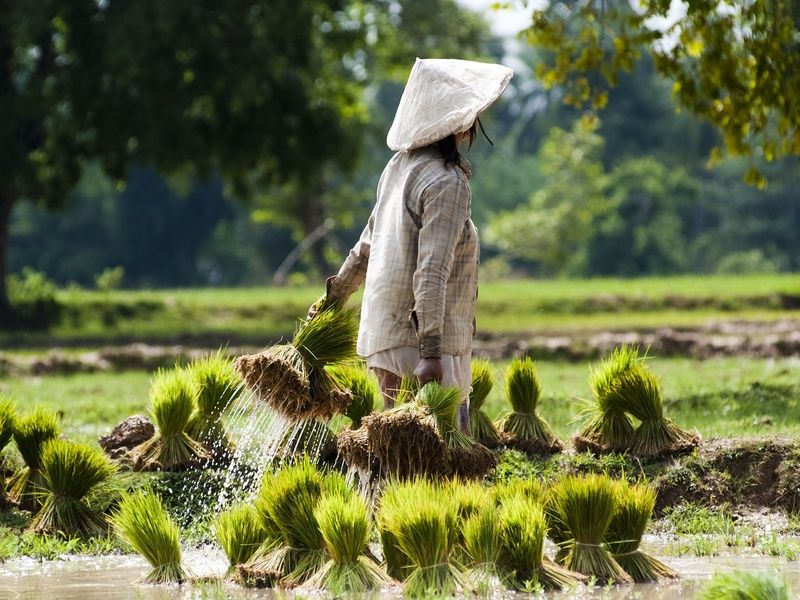 Circuit Les Merveilles du Laos et du Cambodge pas cher photo 2