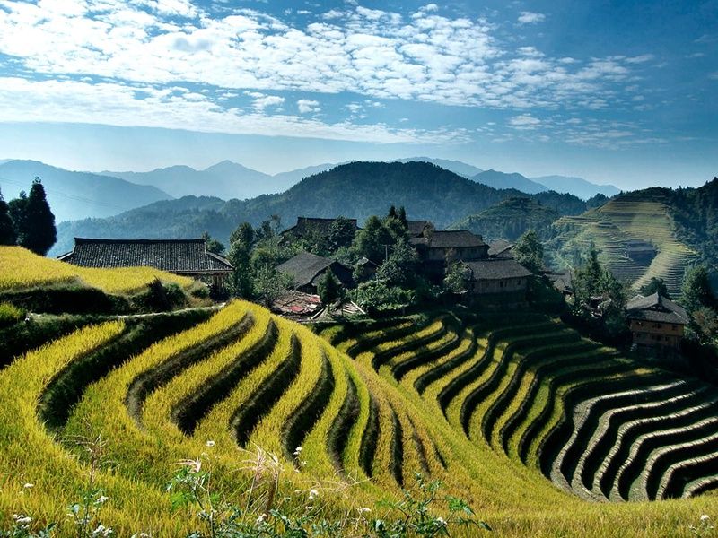 Circuit Chine traditionnelle pas cher photo 11