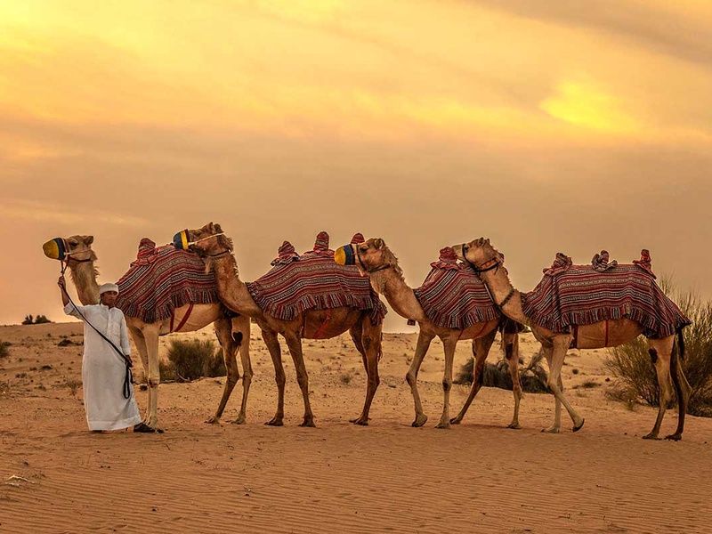 Circuit Le Royaume des sables pas cher photo 1