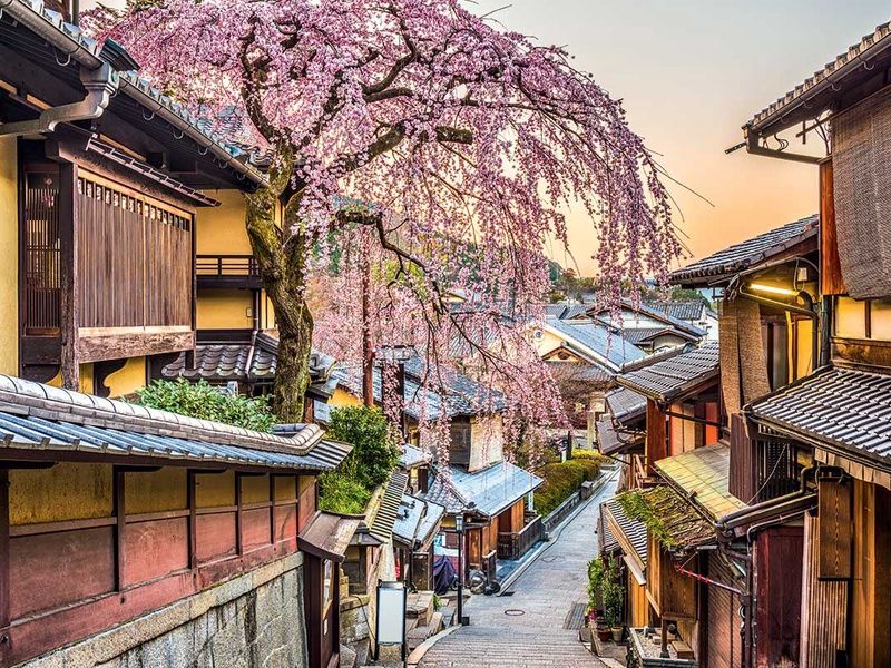 Circuit Japon du Soleil Levant pas cher photo 1