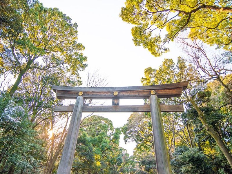 Circuit Japon du Soleil Levant pas cher photo 6