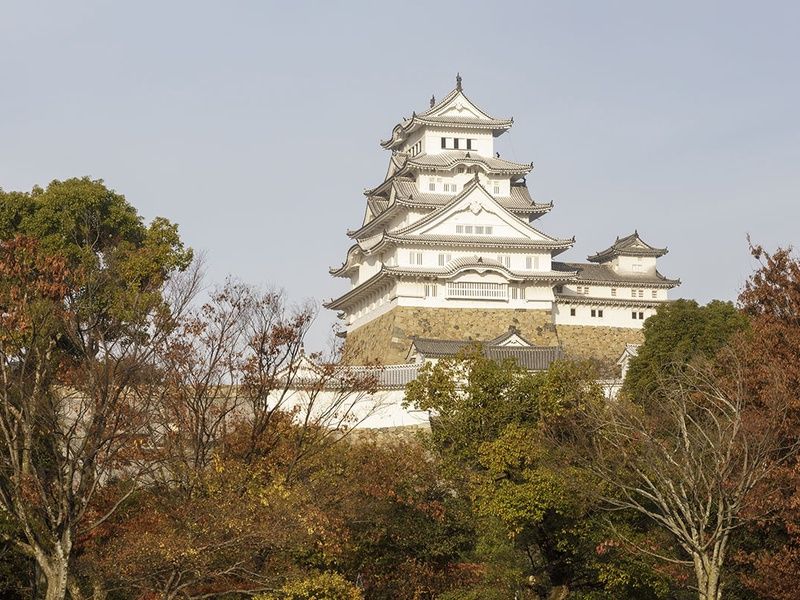 Circuit Japon du Soleil Levant pas cher photo 7