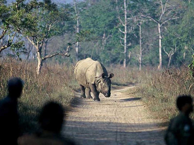 Circuit Népal, Bengale-Occidental, Sikkim et royaume du Bhoutan pas cher photo 7