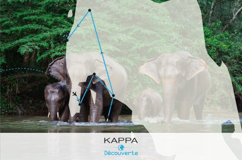 Circuit Kappa Découverte - Les Perles du Sud & Kappa Club Thai Beach Resort 5* pas cher photo 1