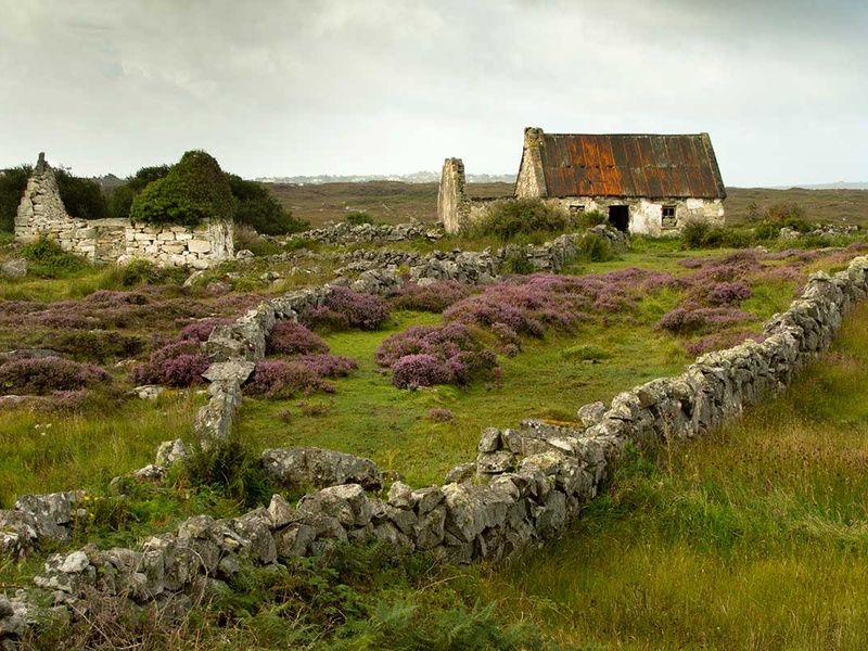 Circuit Magie d'Irlande pas cher photo 7