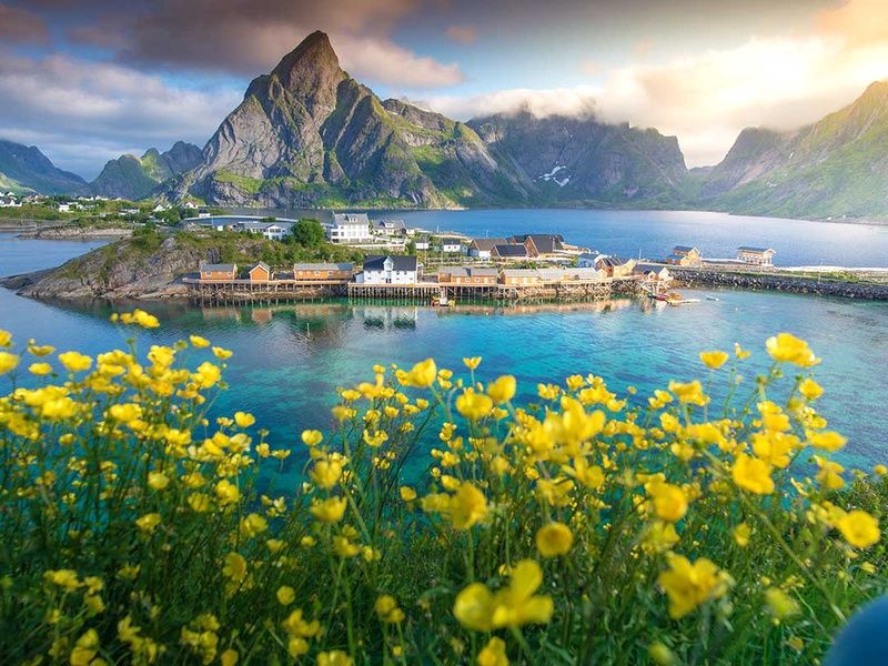Circuit Îles Lofoten, fjords et baleines pas cher photo 3