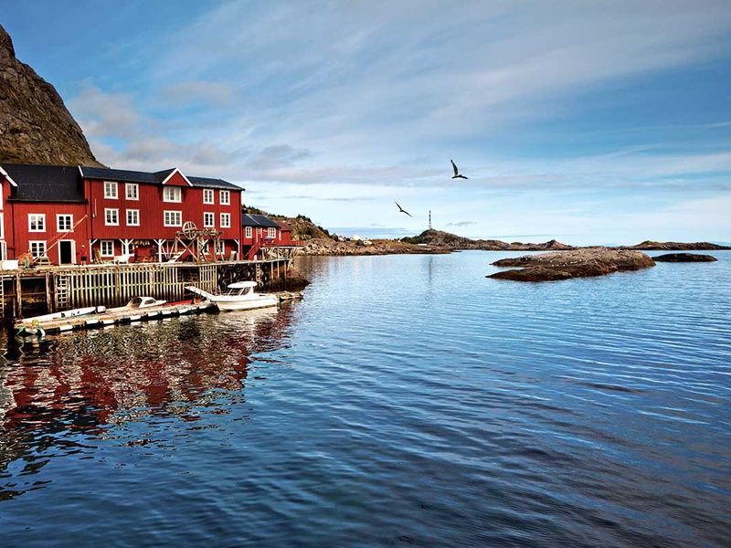 Circuit Îles Lofoten, fjords et baleines pas cher photo 10