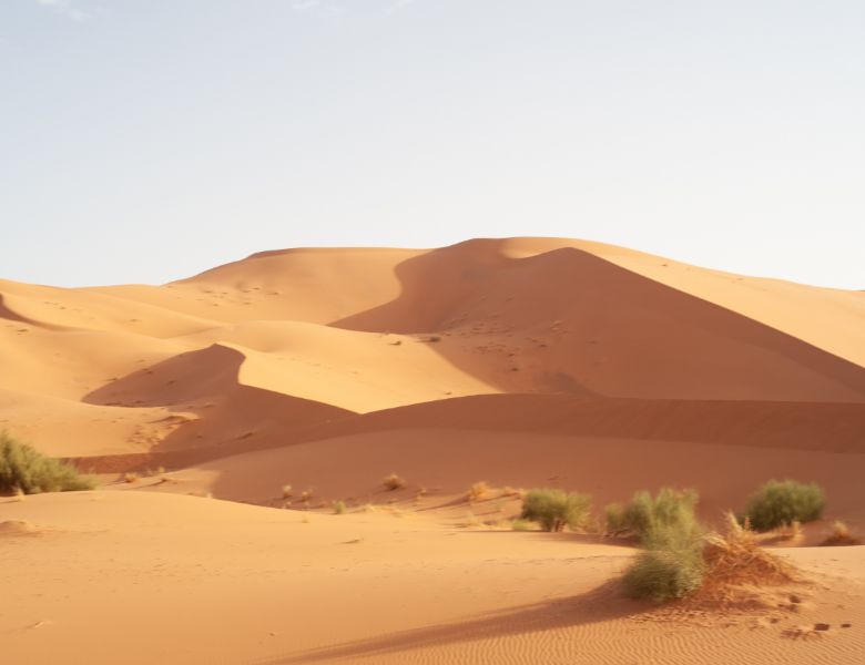 Circuit Caravane Impériale: De la Medina aux merveilles du Désert pas cher photo 6