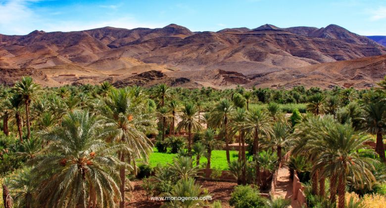 Odyssée Saharienne: Des Montagnes de l'Atlas aux Dunes Dorées pas cher photo 2