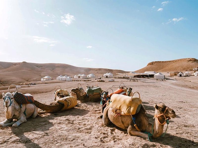 Circuit Marrakech & Experience Unique au Désert d'Agafay pas cher photo 10