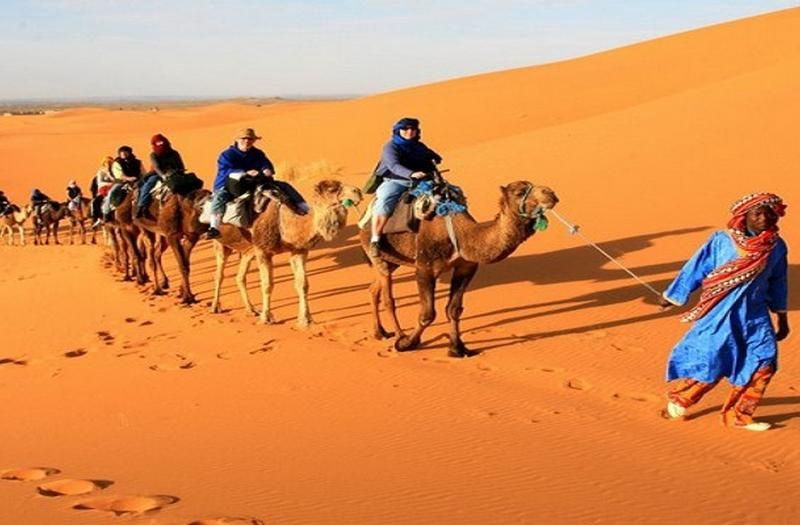 Circuit Camel Express en Riad de Charme pas cher photo 8