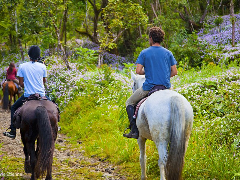 Circuit Randonnées à l'Ile de la Réunion pas cher photo 15