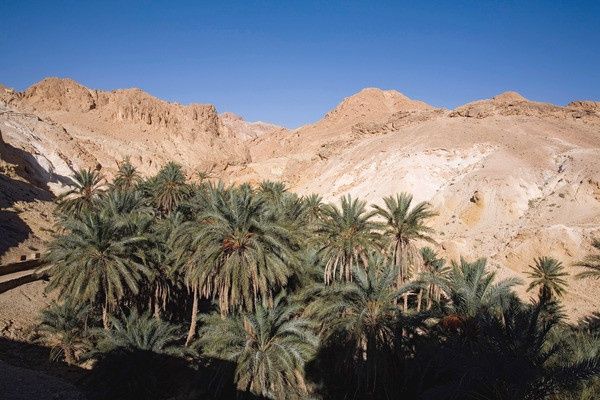 Combiné circuit et hôtel Circuit Plage au Framissima Royal Karthago et désert de Tozeur pas cher photo 15