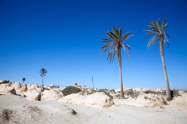 Combiné circuit et hôtel Circuit Plage au Framissima Royal Karthago et désert de Tozeur pas cher photo 21