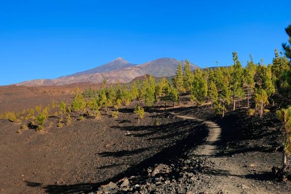 Circuit Randonnée entre océan et Teide, logement au Club Jumbo Bluesea Puerto Resort 3* pas cher photo 5