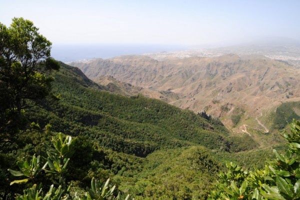 Circuit Randonnée entre océan et Teide, logement au Club Jumbo Bluesea Puerto Resort 3* pas cher photo 9