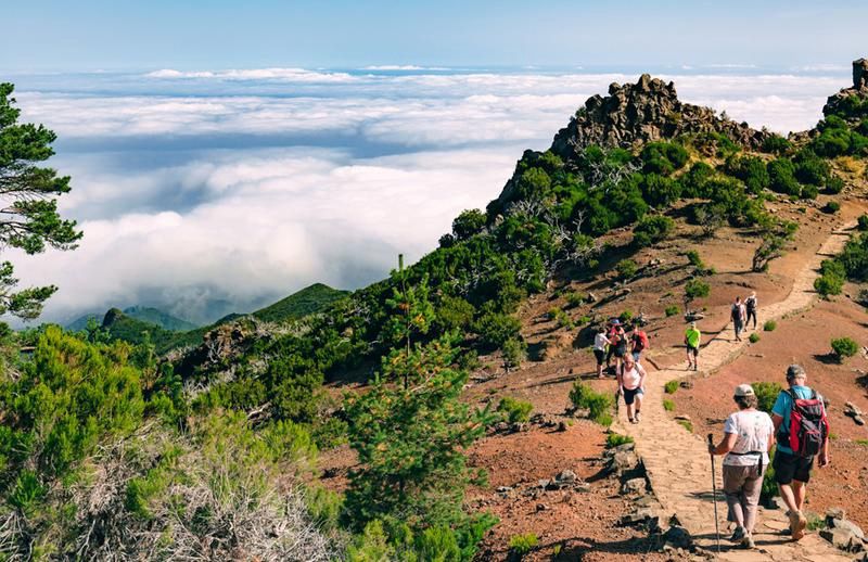 Circuit Joyaux de Madère - Hôtel Do Centro 3* pas cher photo 18