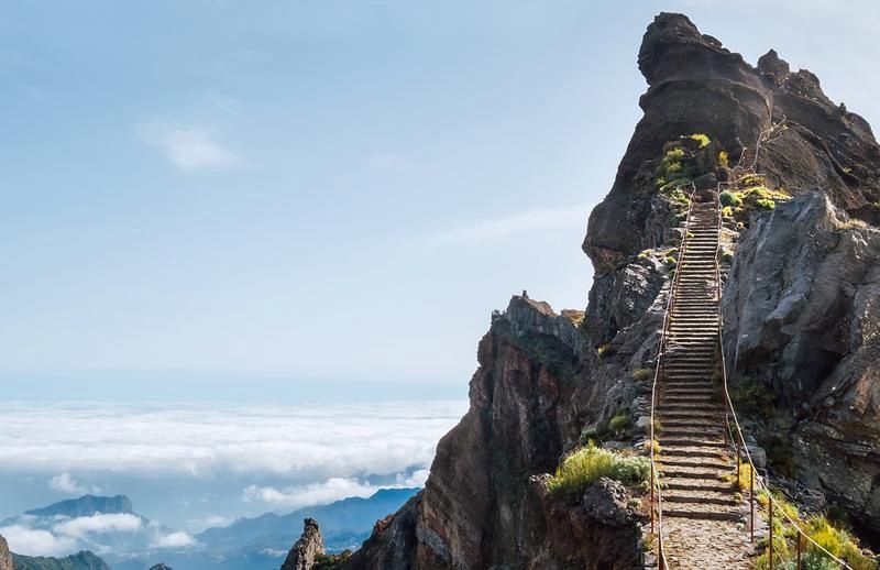 Circuit Joyaux de Madère - Hôtel Do Centro 3* pas cher photo 19