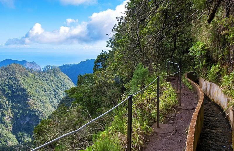 Circuit Joyaux de Madère - Hôtel Do Centro 3* pas cher photo 20